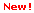 �Թ���������